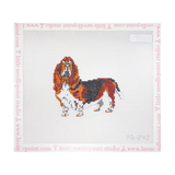 Bassett Hound