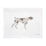 German Short Haired Pointer