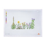 Kansas Wildflowers
